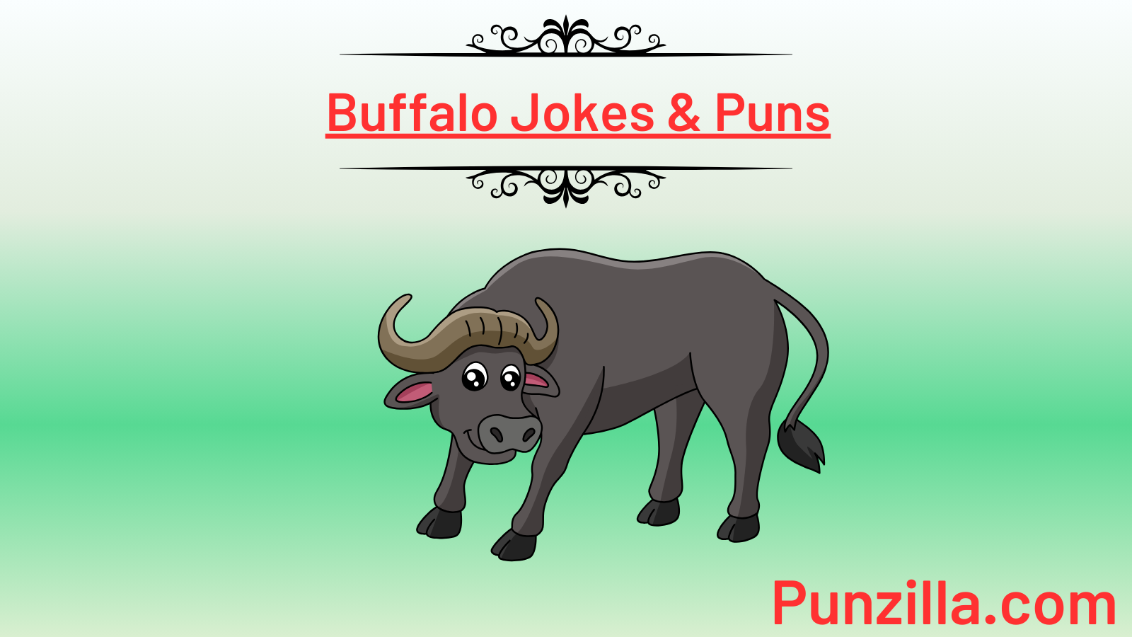 Buffalo Jokes & Puns