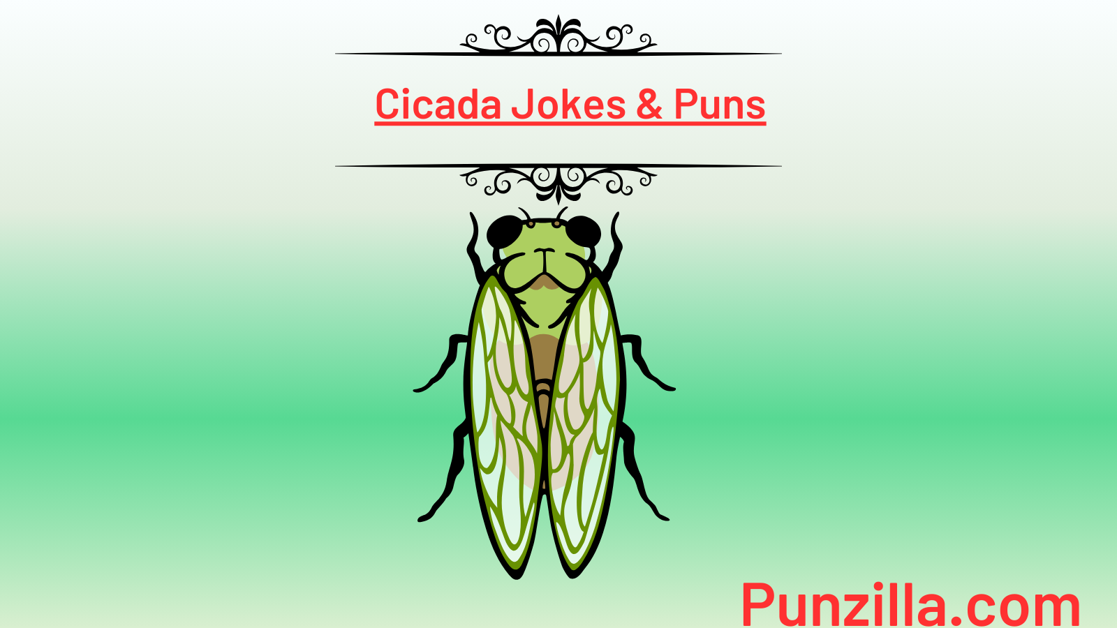 Cicada Jokes & Puns