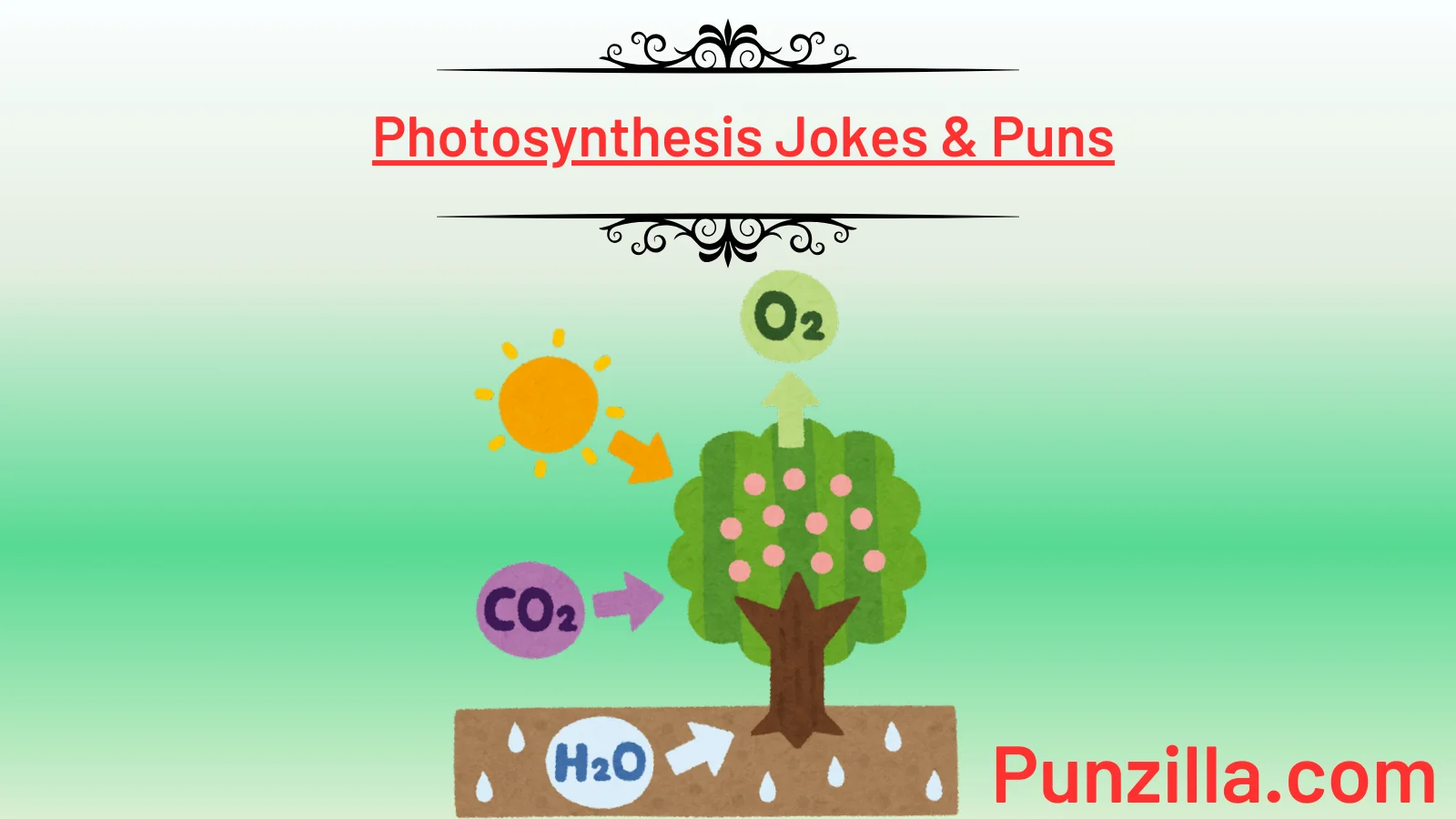 Photosynthesis Jokes & Puns