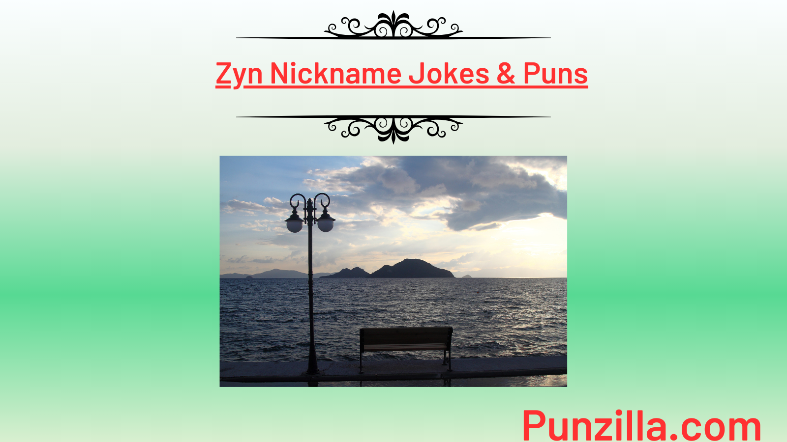 Zyn Nickname Jokes & Puns