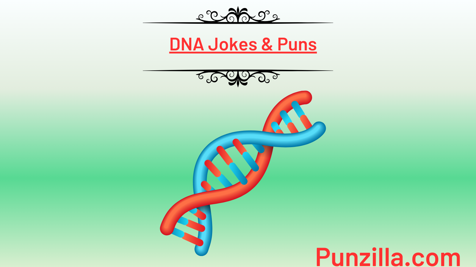 DNA Jokes & Puns