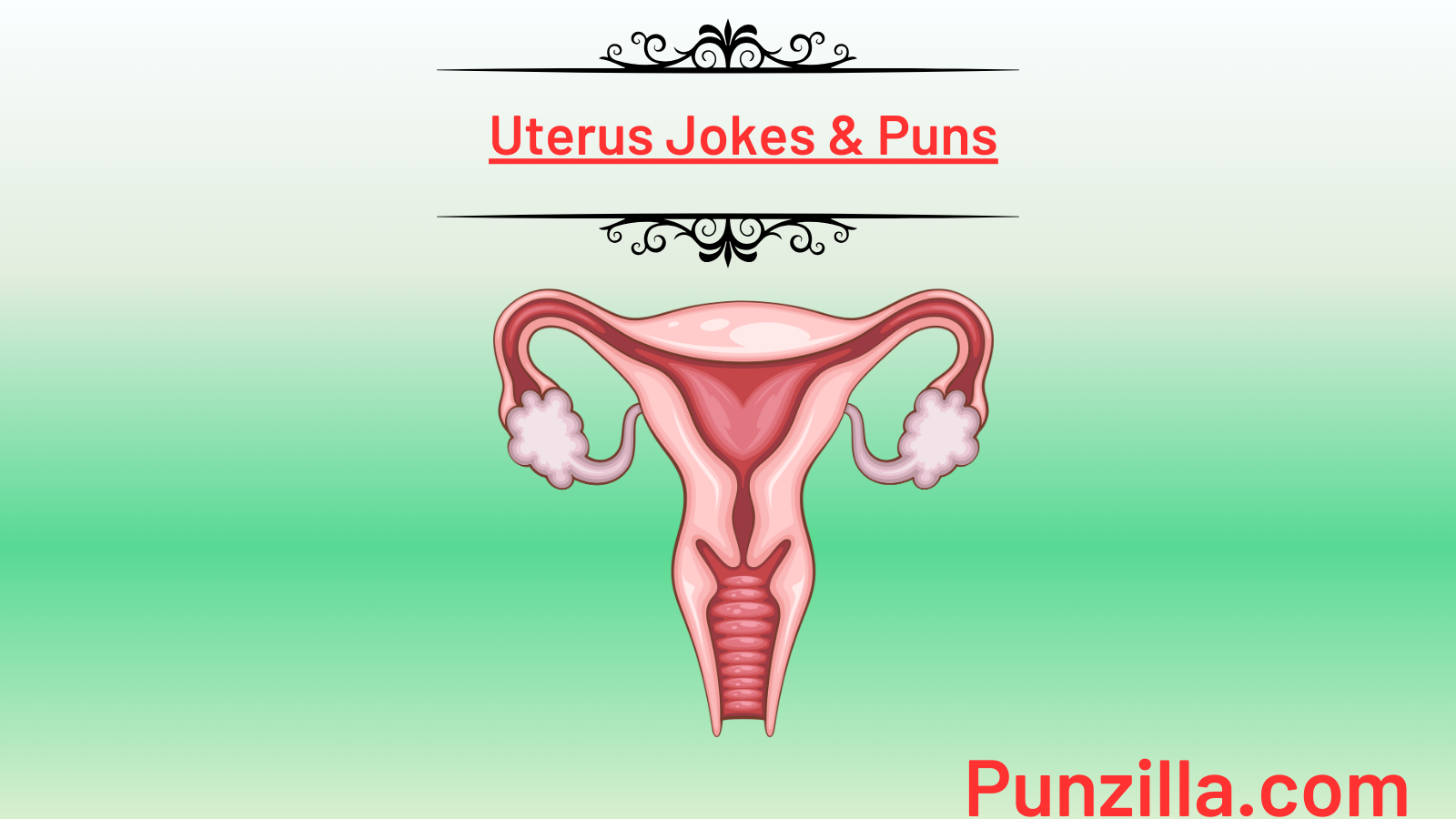 Uterus Jokes & Puns