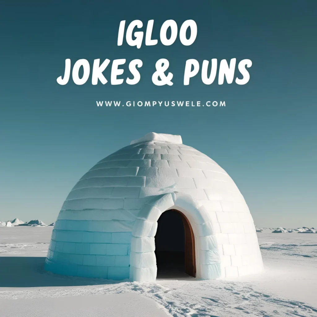 Igloo Jokes & Puns