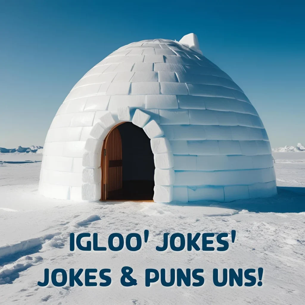 Igloo Jokes & Puns