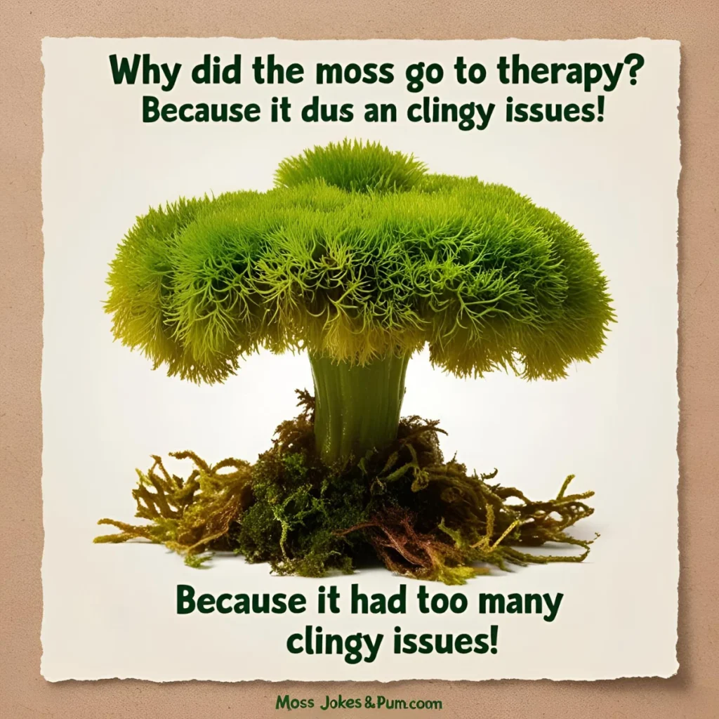 Moss Jokes & Puns