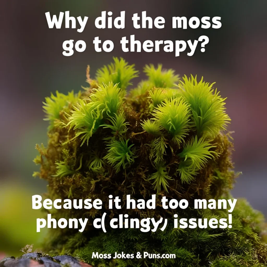 Moss Jokes & Puns